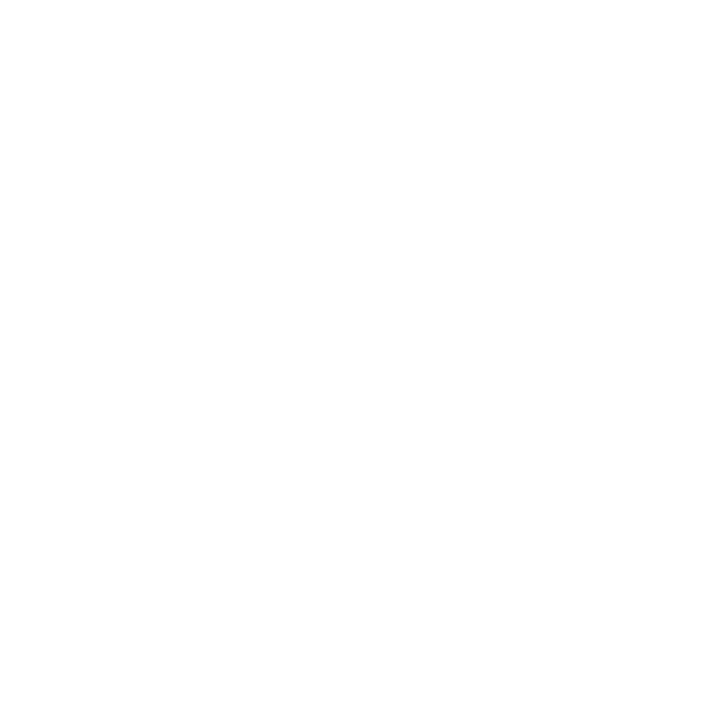 Patel Studio logo